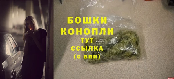 гидра Верея