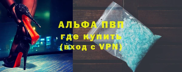 индика Волоколамск