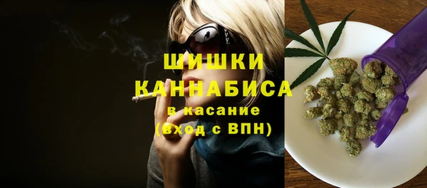 индика Волоколамск