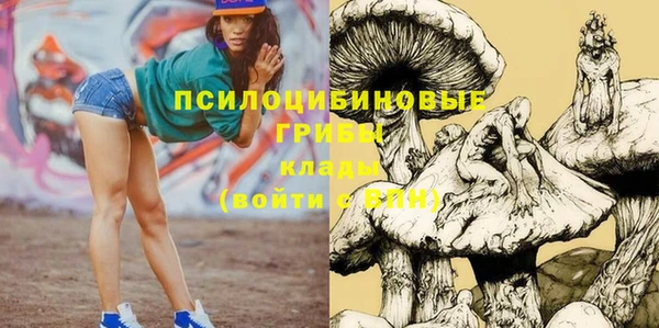 трава Верхнеуральск