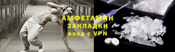 индика Волоколамск