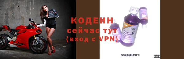 индика Волоколамск