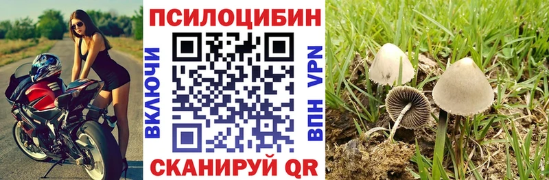 Галлюциногенные грибы мухоморы  Воркута 